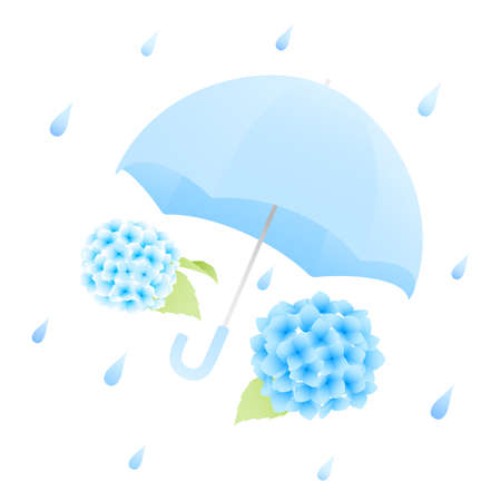 Vector illustration of hydrangea, umbrella and rain with beautiful gradation.のイラスト素材