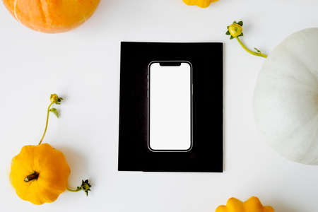 large orange pumpkins on a white background with a candle. Autumn moodの写真素材