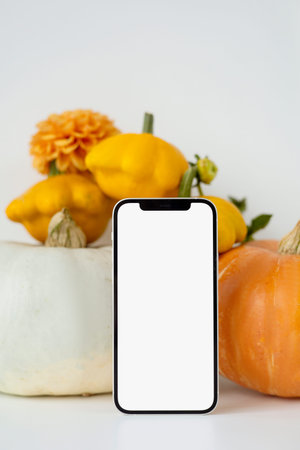 large orange pumpkins on a white background with a candle. Autumn moodの写真素材