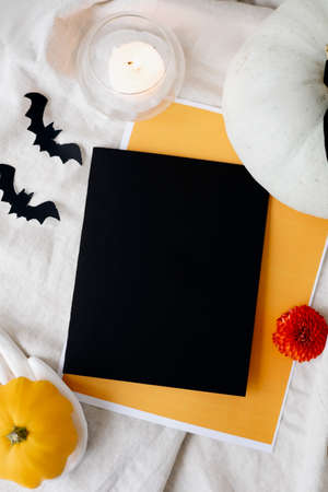 large orange pumpkins on a white background with a candle. Autumn moodの写真素材