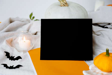 large orange pumpkins on a white background with a candle. Autumn moodの写真素材