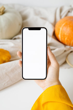 large orange pumpkins on a white background with a candle. Autumn moodの写真素材