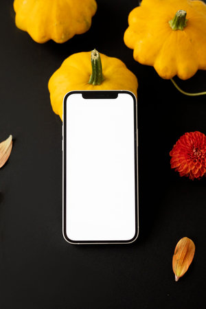 large orange pumpkins on a white background with a candle. Autumn moodの写真素材