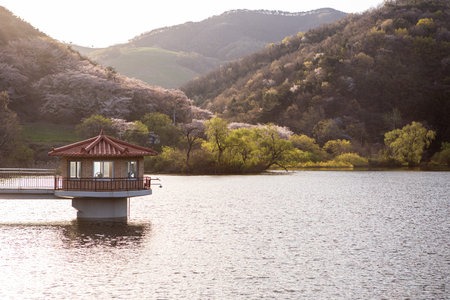 Morning lake with fog, beautiful spring with reflectionの写真素材