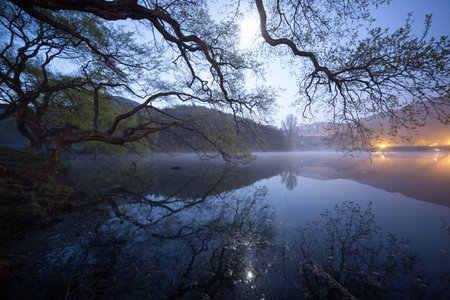 night at the lake in the forest. Beautiful natural background.の写真素材