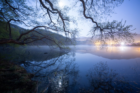 Scenic view of the lake at night with trees reflected in the waterの写真素材