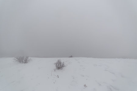 Winter landscape in the mountains. Foggy morning on the mountain.の写真素材