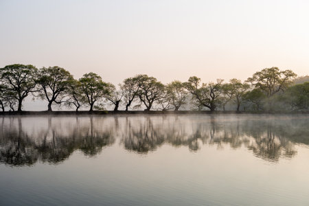 A view of a lake with beautiful morning sunの写真素材
