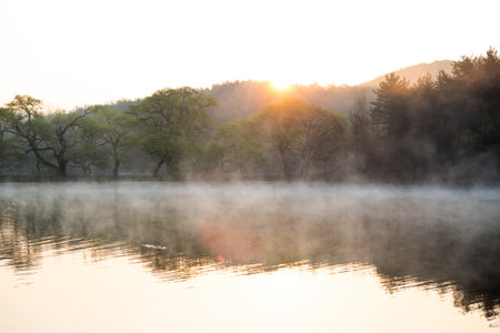 Landscape view of a misty lake in the morning at sunriseの写真素材