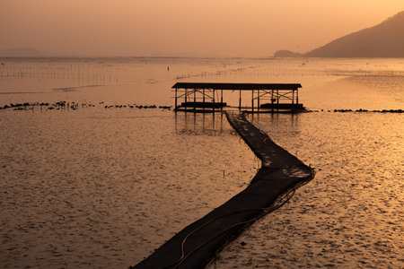 The road along the mudflats, the scenery of the mudflats colored by the sunsetの写真素材