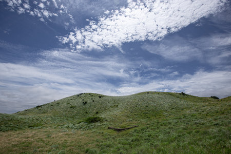 Jeju Island's pasture landscape with green grass and blue sky, clear and clear weatherの写真素材