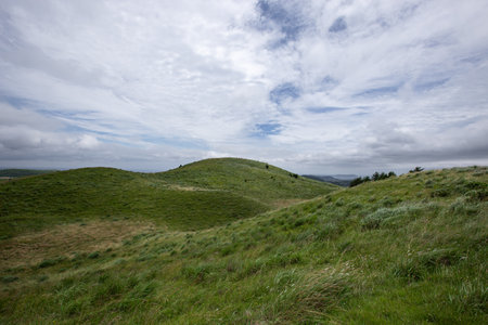 Jeju Island's pasture landscape with green grass and blue sky, clear and clear weatherの写真素材