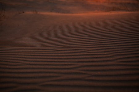 Sunset on a beach with sand dunes, sand close-up. Sand texture made by the windの写真素材