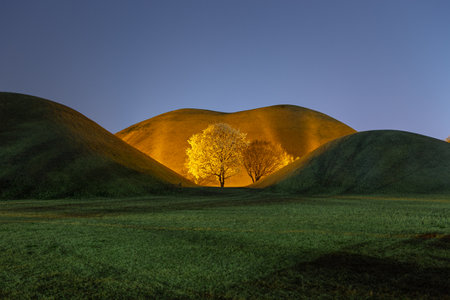 A picture of the scenery with treesの写真素材