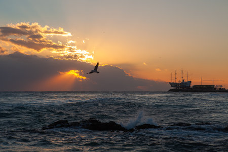 Seagulls flying over the sea at sunrise. Powerful rays of lightの写真素材