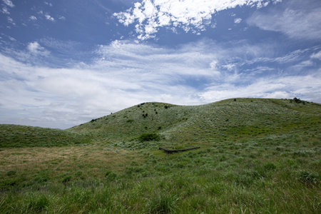Landscape of grassland with blue sky and white clouds in summerの写真素材