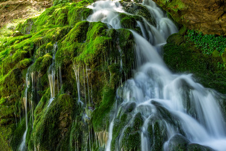 Waterfall in the forest with green moss on the rocks and stonesの写真素材