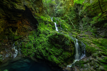 Waterfall in the green forest on a sunny summer day.の写真素材