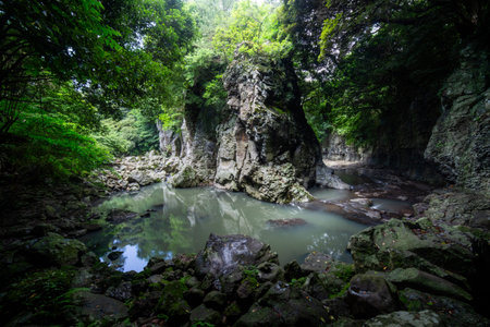 The scenery of Jeju Island, a river that flows along a canyon in the forestの写真素材