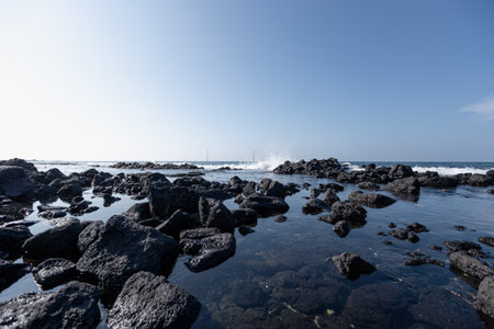 Jeju Island scenery with volcanic rock beach, blue sky, and seaの写真素材