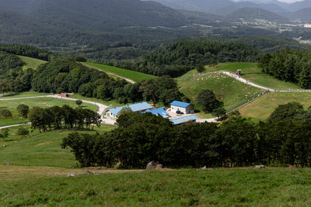 a landscape of green pastures and greeneryの写真素材