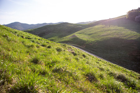 a green morning with hills and green pasturesの写真素材