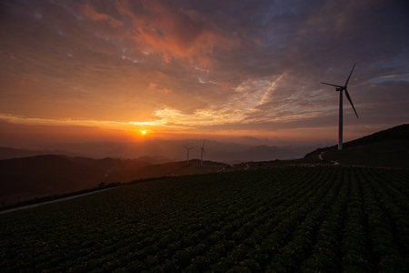 Sun rising over mountains and wind turbines, highland fields sunrise scene