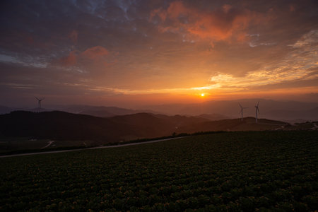 Wind turbines at sunset in the countryside.の写真素材