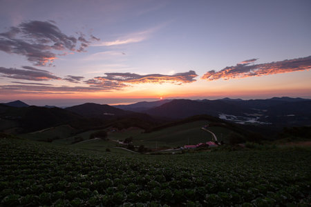 High mountains, highland cabbage fields, and sunrise scenes in the villageの写真素材