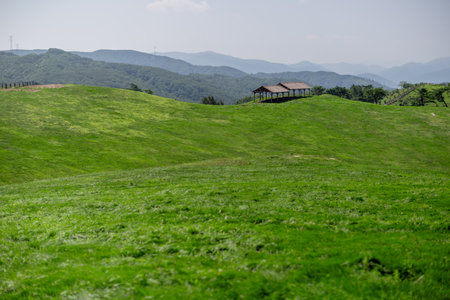 a ranch landscape with green pasturesの写真素材