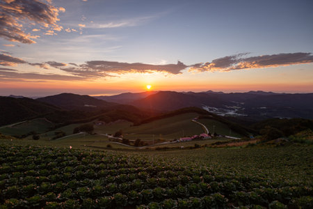 Sun rising over the mountains Sunrise in a wide fieldの写真素材