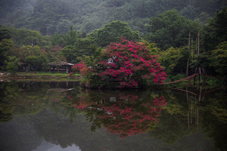 Lake reflection landscape with green trees, red flowers, and bridges to a small houseの写真素材