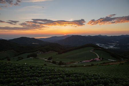 High mountain fields and wind power generators morning sceneryの写真素材