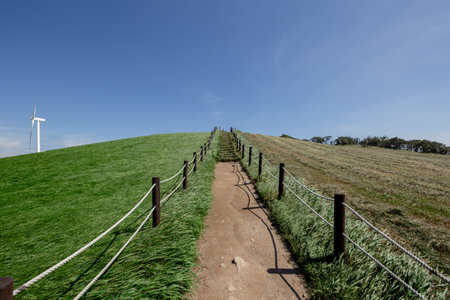 Hiking trail leading to a windmill in the middle of a hillの写真素材