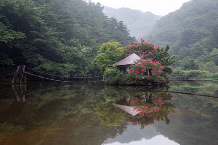 Lake reflection landscape with green trees, red flowers, and bridges to a small houseの写真素材