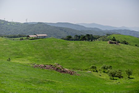 a ranch landscape with green pasturesの写真素材