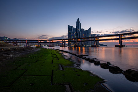 Early morning scenery with city buildings and bridgesの写真素材