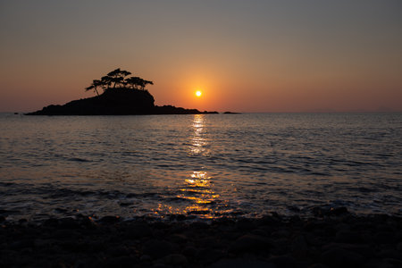Sunset on the sea with a silhouette of a tree in the foregroundの写真素材