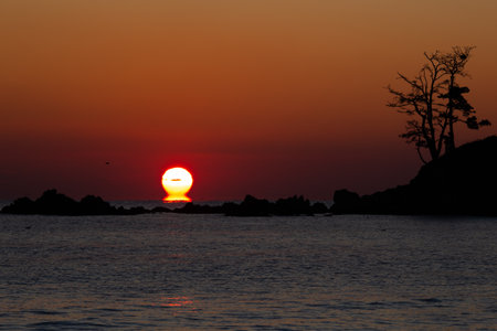 sunrise over the ocean with silhouettes of trees and islands.の写真素材