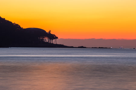 Sea sunrise with wood and building silhouettes exposed.の写真素材