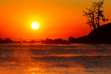Sunrise of the Isle of Trees and the Sea of Water Foggingの写真素材