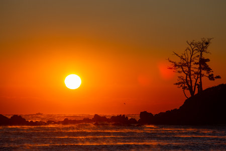 The silhouette of the island with trees and the sunrise of the seaの写真素材