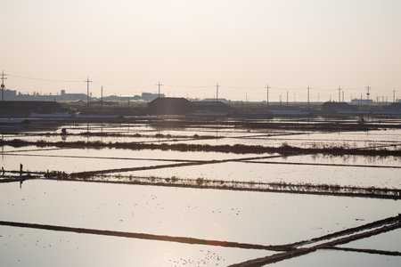 an afternoon view of the salt fieldsの写真素材