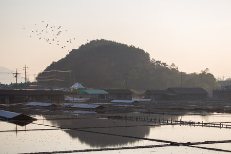 an afternoon view of the salt fieldsの写真素材