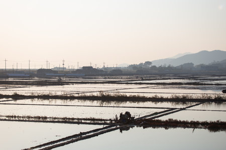 an afternoon view of the salt fieldsの写真素材