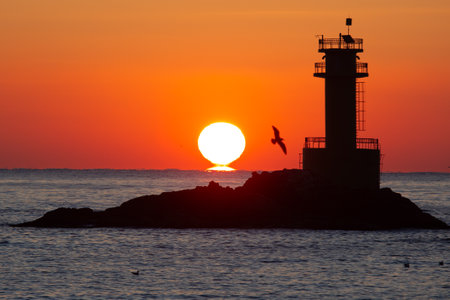 runrise over the sea with silhouette of a lighthouse and seagullsの写真素材