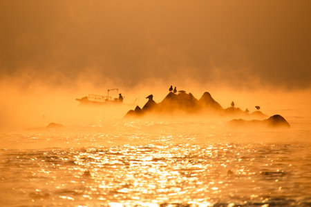 A boat and seagulls in the sea full of water fogの写真素材