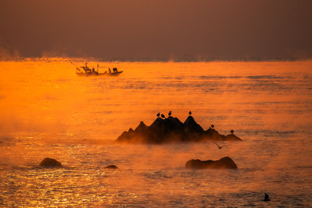 Fishing boats and seagulls in the sea full of water fogの写真素材