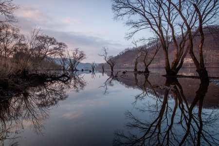 Reflection of trees in the water, natural landscape backgroundの写真素材