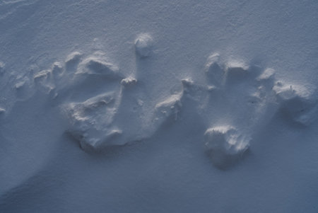 Patterns and textures created by snow and wind. Light and shadow.の写真素材